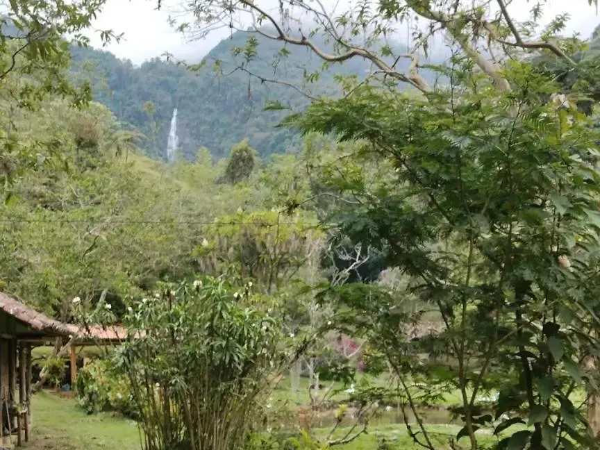Sapiens House